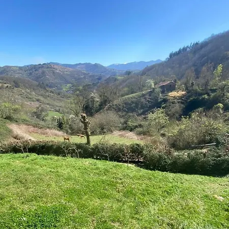 公寓 Loft 80 Mts En Un Entorno Natural. *