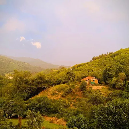 Loft 80 Mts En Un Entorno Natural.