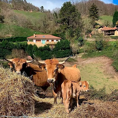 Loft 80 Mts En Un Entorno Natural. 公寓