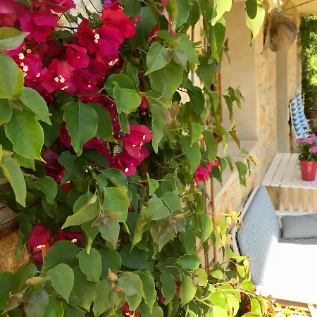 公寓 Loft 80 Mts En Un Entorno Natural. 米耶雷斯