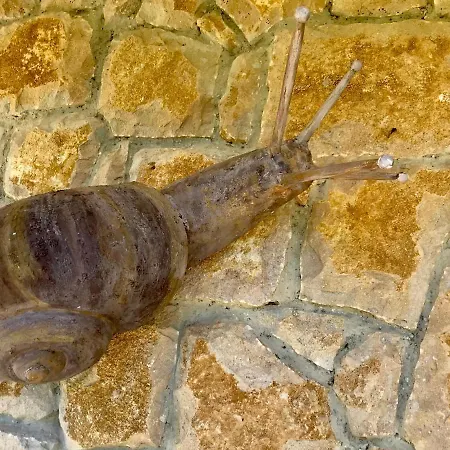 Loft 80 Mts En Un Entorno Natural. 公寓 *