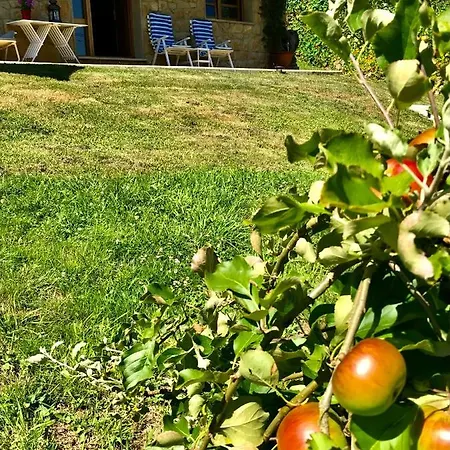 Loft 80 Mts En Un Entorno Natural.