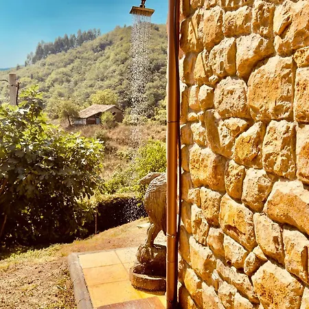 公寓 Loft 80 Mts En Un Entorno Natural. 米耶雷斯